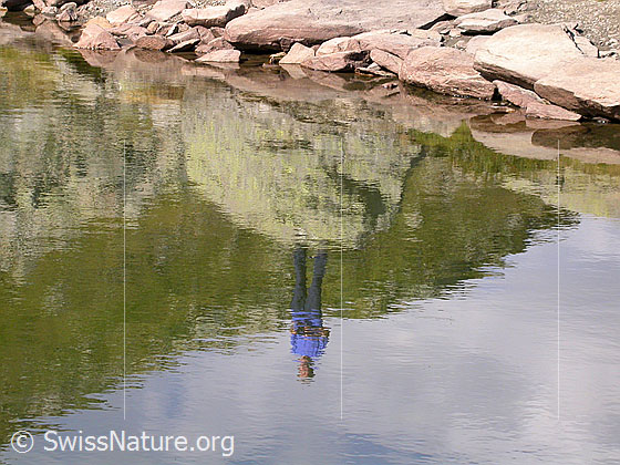Foto: Schaplersee: Spiegelung der Frau auf dem Stein.