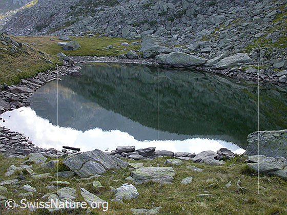 Foto: Stimmung am Schaplersee.
