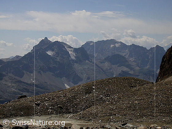 Foto: Scherbadung und Helsenhorn von NNE.