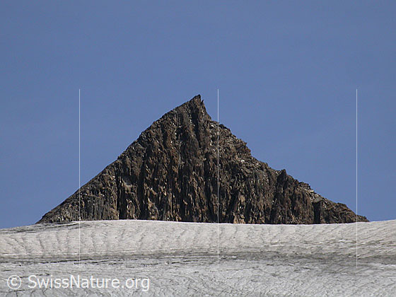 Foto: 5. Turbechepf und Fäldbachgletscher von W