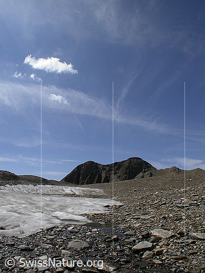 Foto: Holzjihorn von ENE