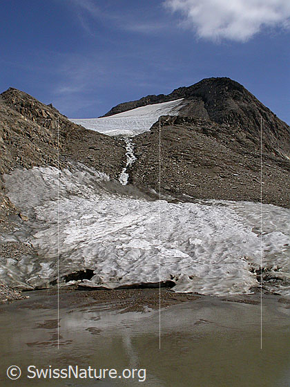 Foto: 4. Turbechepf und Fäldbachgletscher von W