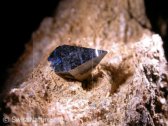 Foto: Anatas. Länge: 7mm Fund: André Gorsatt