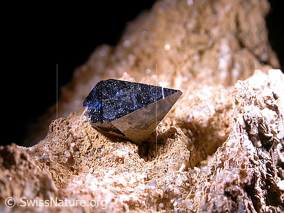 Foto: Anatas. Länge: 7mm Fund: André Gorsatt