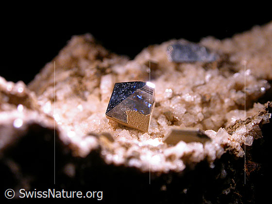 Foto: Anatas. Länge: 5mm Fund: André Gorsatt