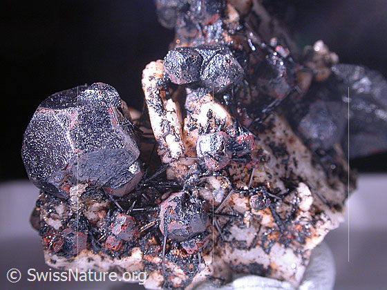 Foto: Cafarsit mit kleinen Turmalinnadeln Grösse des Cafarsit: 6mm Fund: André Gorsatt