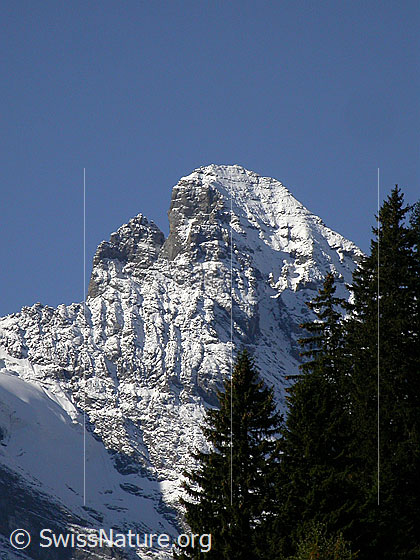 Foto: Überzuckerter Gipfel des Gspaltenhorn von NE (Mürren)
Links vom Gipfel sind die Roti Zend zu sehen.