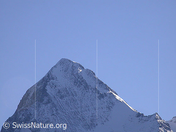 Foto: Gipfelaufbau des Eiger von W (Mürren)
Zu sehen ist der oberste Teil der Westflanke.