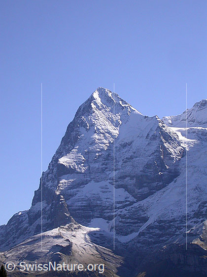 Foto: Überzuckerter Eiger von W (Mürren)
Zu sehen ist die ganze Westflanke.