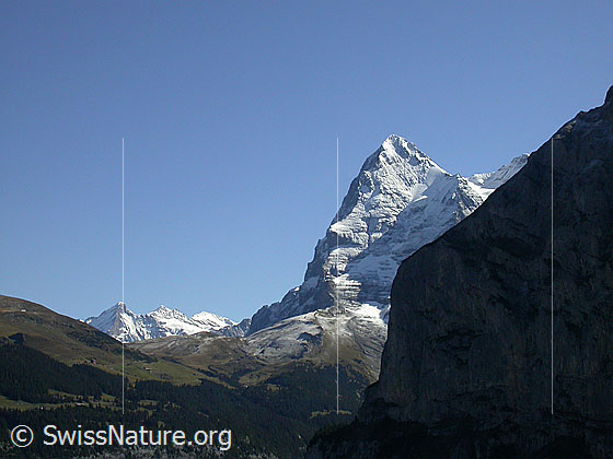 Foto: Wetterhorn, Mittelhorn, Rosenhorn und Eiger und Ausläufer des Schwarzmönch von W (Mürren)