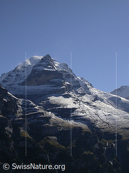 Foto: Überzuckerte Jungfrau: Rotbrätt, Silberhorn und Rottal von WNW (Nähe Mürren)