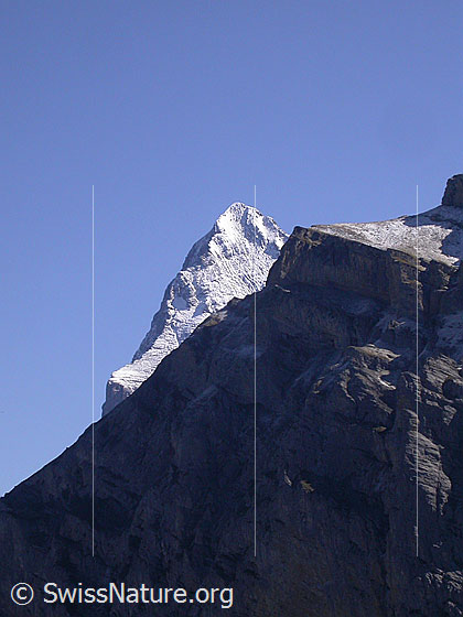 Foto: Gipfel des Eiger von W (oberhalb Mürren). Davor ein Ausläufer des Schwarzmönch.