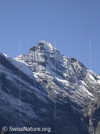 Foto: Gspaltenhorn von NE (oberhalb Mürren). 
Fast die ganze Nordwand ist sichtbar.