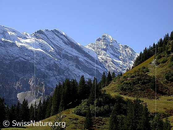 Foto: Tschingelspitz und Gspaltenhorn von NE (oberhalb Mürren).