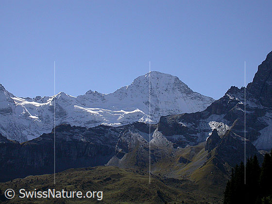 Foto: Schmadrijoch und Lauterbrunnen Breithorn von N (oberhalb Mürren).