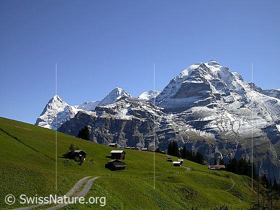 Foto: Eiger, Mönch und Jungfrau von WNW (oberhalb Mürren).