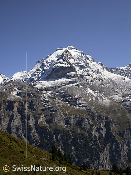 Foto: Schwarzmönch, Silberhorn, Jungfrau, Rotbrätt und Rottal von WNW (oberhalb Mürren)