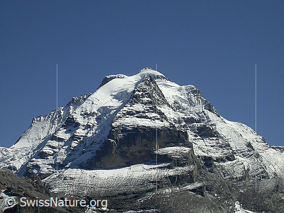 Foto: Silberhorn, Jungfrau, Rotbrätt und Rottal von WNW (oberhalb Mürren)