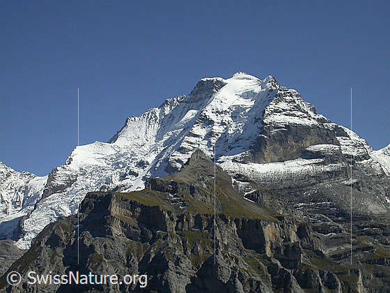 Foto: Schneehorn, Silberhorn, Jungfrau, Rotbrätt und Rottal von WNW (oberhalb Mürren). Davor der Schwarzmönch.
