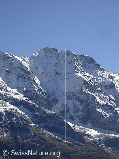 Foto: Grosshorn von N (oberhalb Mürren)
