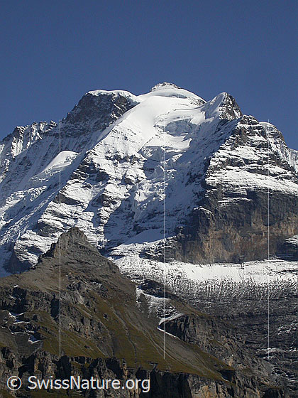 Foto: Silberhorn, Jungfrau und Rotbrätt von WNW (oberhalb Mürren), darunter der Schwarzmönch.