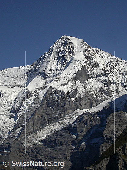 Foto: Mönch von W (oberhalb Mürren).
Zu sehen ist der Nollen (Mönch) und davor die langezogene Zunge des Guggigletschers.