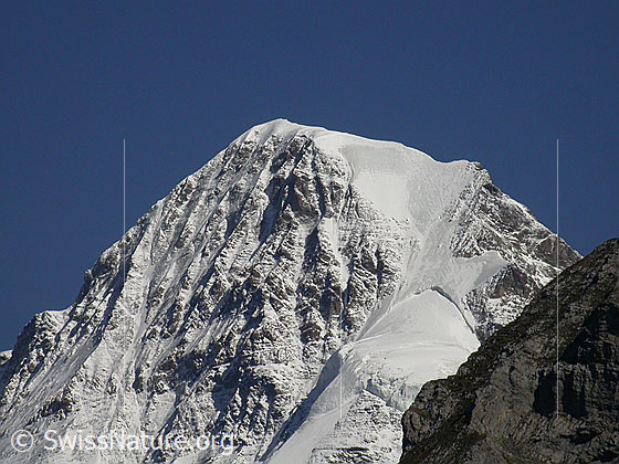 Foto: Gipfel des Mönch von W (Mürren)
Gut zu sehen ist die Nordwandrippe, die Nordwand und der Nollen. Im Vordergrund ein Ausläufer des Schwarzmönch.