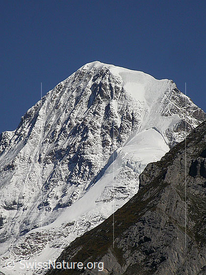 Foto: Gipfel des Mönch von W (Mürren)
Gut zu sehen ist die Nordwandrippe, die Nordwand und der Nollen. Im Vordergrund ein Ausläufer des Schwarzmönch.
