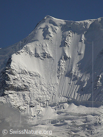 Foto: Äbeni Flue mit Nordwand NNW (Mürren)
Am Fuss der Wand der Stuefesteigletscher.
