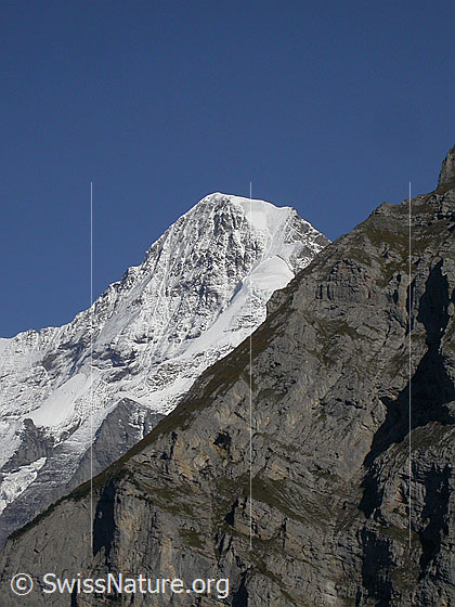 Foto: Mönch von W (Mürren), im Vordergrund ein Ausläufer des Schwarzmönch.