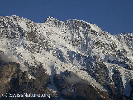 Foto: Mittaghorn NNW (Mürren) im Abendlicht.
Davor Hubelgletscher und Breitlouwenengletscher.