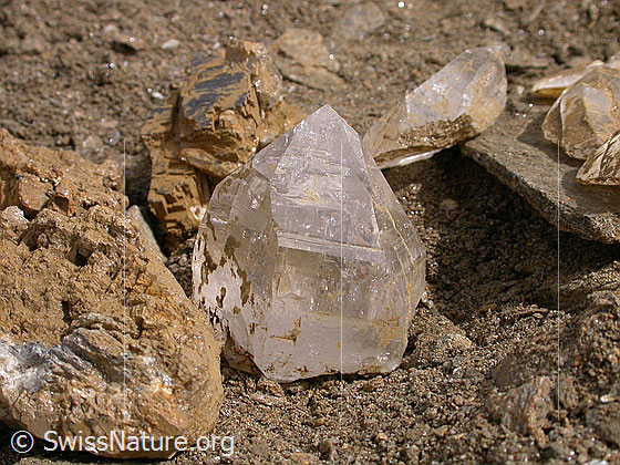 Foto: Bergkristall, frisch aus Kluft.