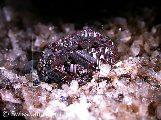 Foto: Rutil auf Hämatit. Durchmesser: 9mm