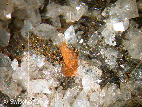 Foto: Monazit. Länge: 1.5mm