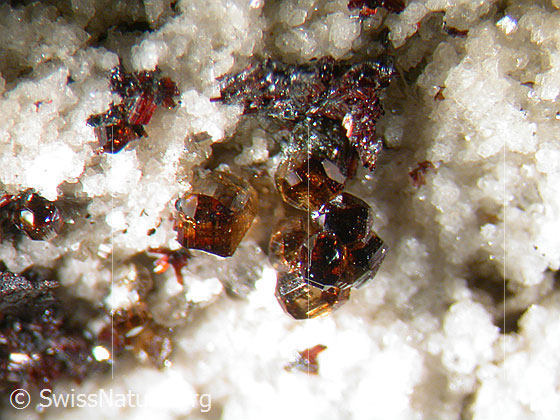 Foto: Anatas-Kügelchen. Grösse total: 2.5mm