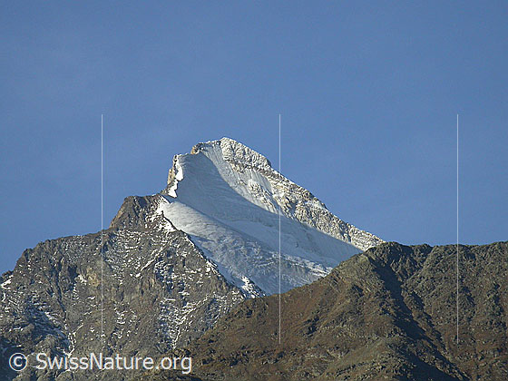 Foto: Brunegghorn von NNE. 
Davor der Abberggletscher.