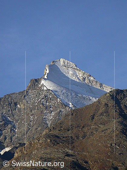 Foto: Brunegghorn von NNE.
Davor der Abberggletscher.