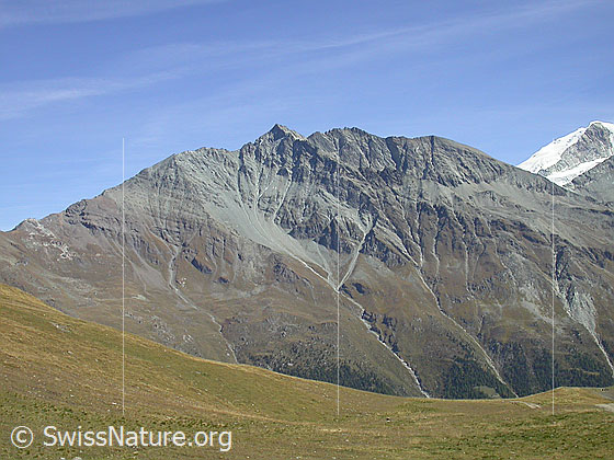 Foto: Les Diablons von W