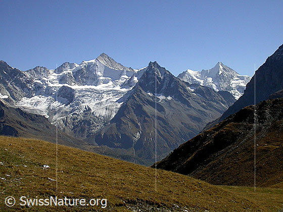 Foto: Schalihorn, Zinalrothorn, Besso, Wellenkuppe und Ober Gabelhorn von NW.
Davor der Glacier de Moming.