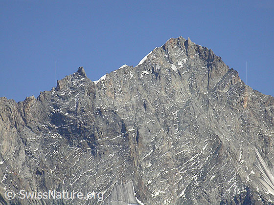 Foto: Gipfelbereich des Weisshorn von WNW.
Gut sichtbar sind Gendarme und Firngrat des Nordgrats.