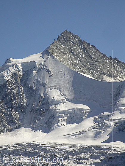 Foto: Zinalrothorn von NW.
Gut sichtbar ist L
