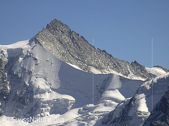 Foto: Zinalrothorn von NW.
Gut sichtbar ist L