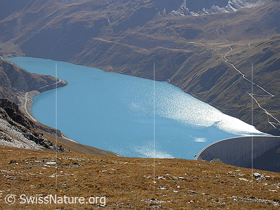 Foto: Lac de Moiry von NE (Corne de Sorebois)