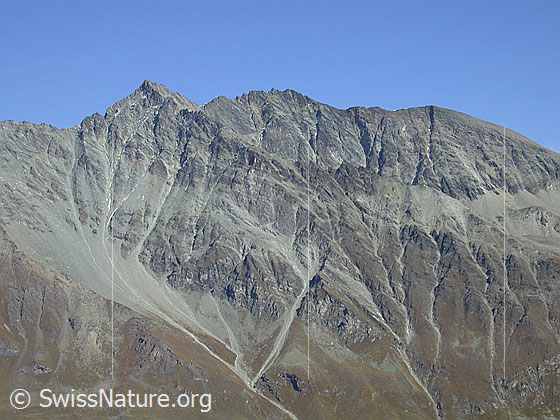 Foto: Les Diablons von W