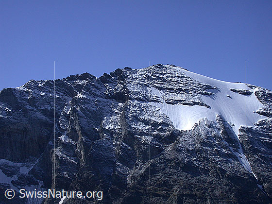 Foto: Blick vom Gischigletscher zum Gipfel des Helsenhorn