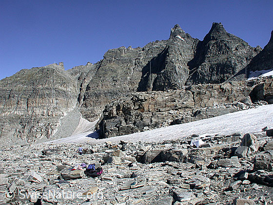 Foto: Beim Gischigletscher: Blick über die Reste des Gletschers zur Punta Devero.
