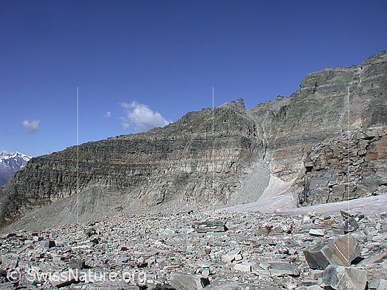 Foto: Beim Gischigletscher: Blick auf den Kamm, welcher Wanni- und Gischigletscher trennt.