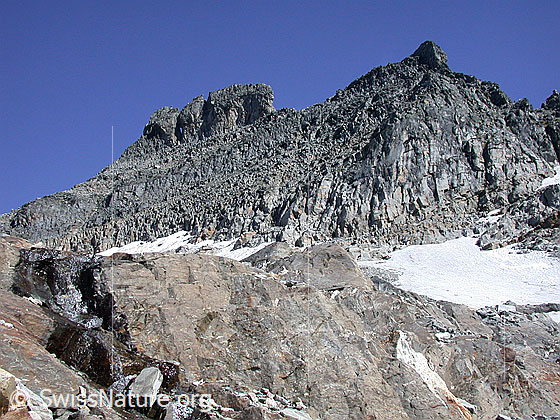Foto: Im Abstieg vom Gischigletscher: Blick zurück auf das Gischihorn.
