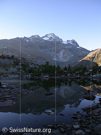 Foto: Frühmorgendliche Spiegelung im teilweise ausgetrockneten Mässersee. Schwarzhorn, Fleschhorn.