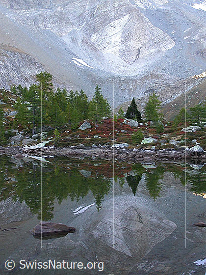 Foto: Frühmorgendliche Spiegelung im teilweise ausgetrockneten Mässersee. Herbstliche Farben. Im Hintergund: Fuss des Schwarzhorns, ev. mit frischem Bergsturz.